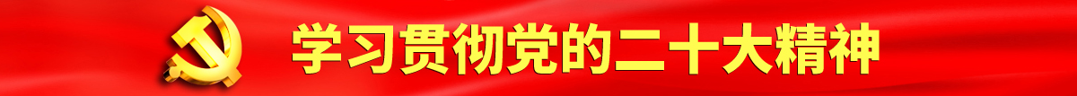 直插下体完整版啪啪啪认真学习贯彻落实党的二十大会议精神